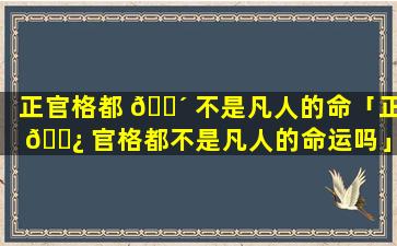 正官格都 🐴 不是凡人的命「正 🌿 官格都不是凡人的命运吗」